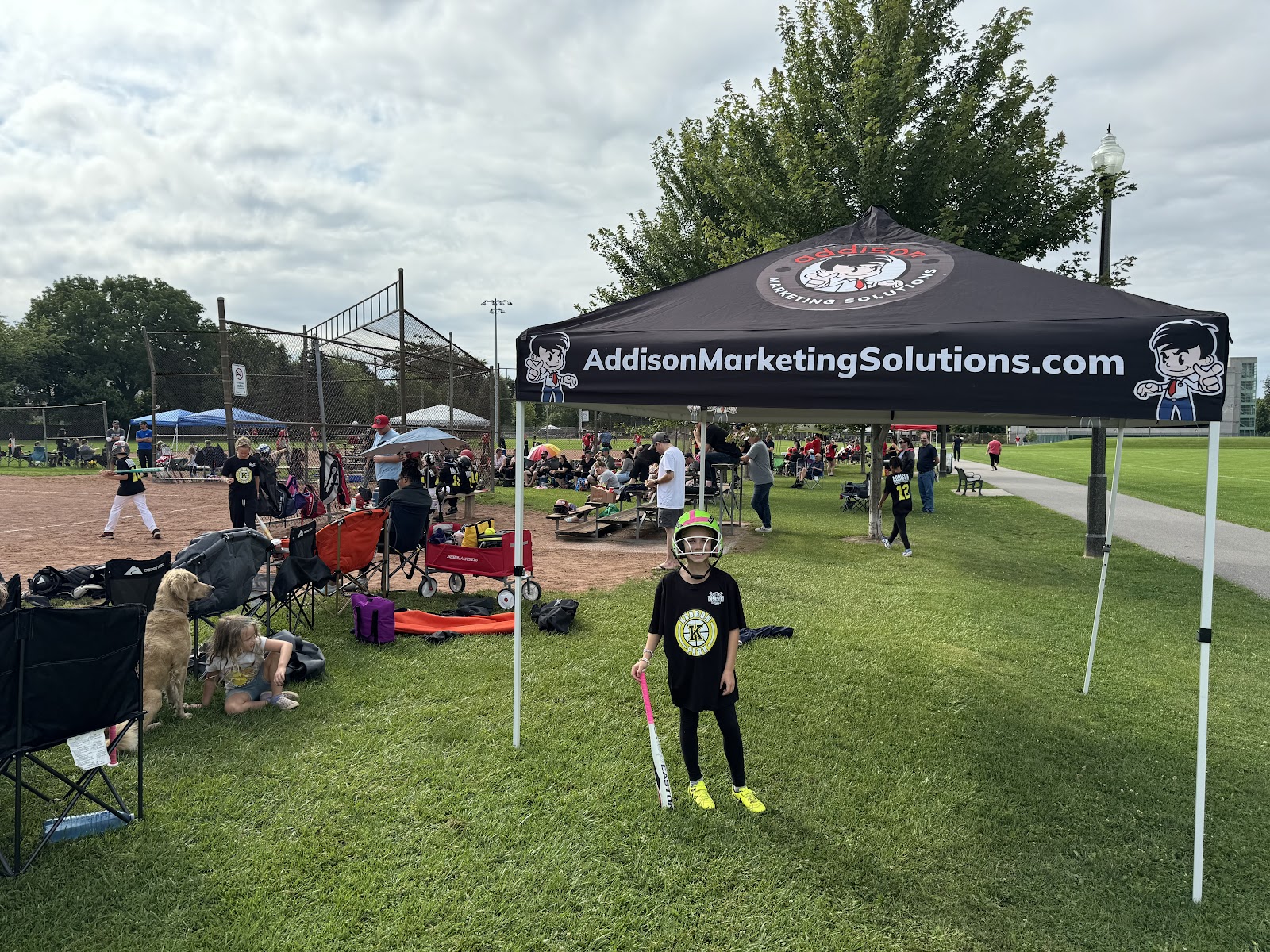 Addison Marketing Solutions - photo by Addison Marketing Solutions via Google