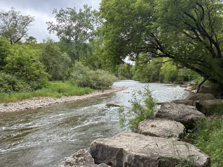 Erindale Park - photo by Rubina Wahid via Google