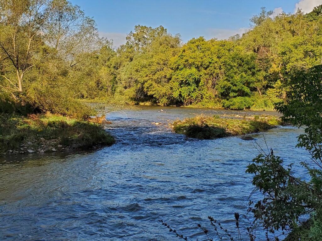 Erindale Park - photo by Yasser Arredondo via Google