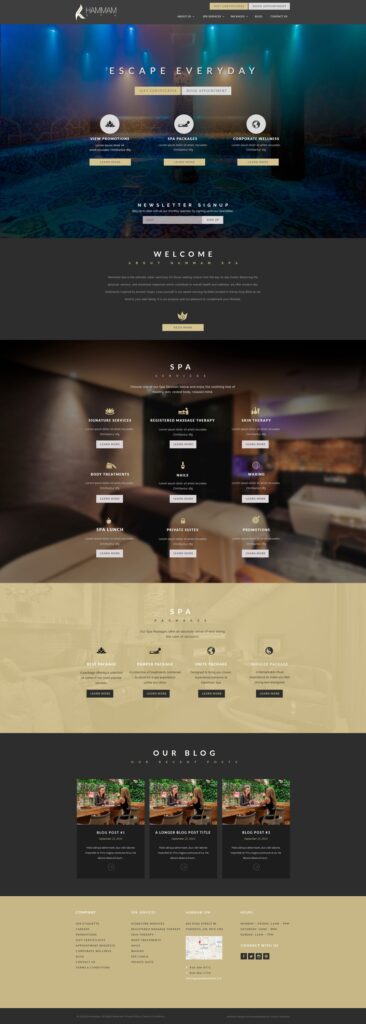NVISION - photo by NVISION via Google