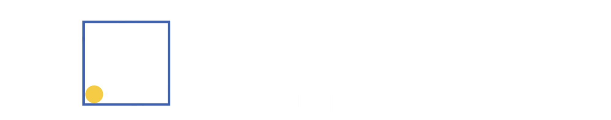 Options Consulting Solutions - image from optionscs.com