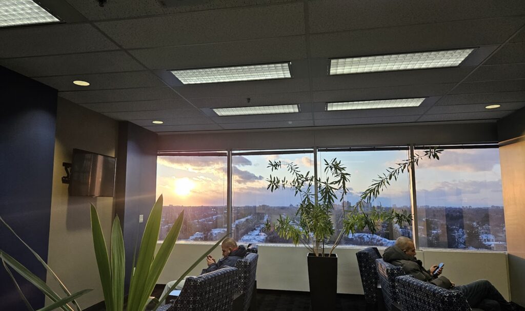 Translation Agency of Ontario - photo by Translation Agency of Ontario via Google