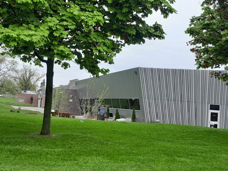 Woodlands Branch Library - photo by Margaret Wong via Google